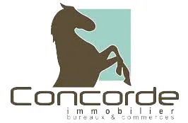 concorde immobilier Lyon